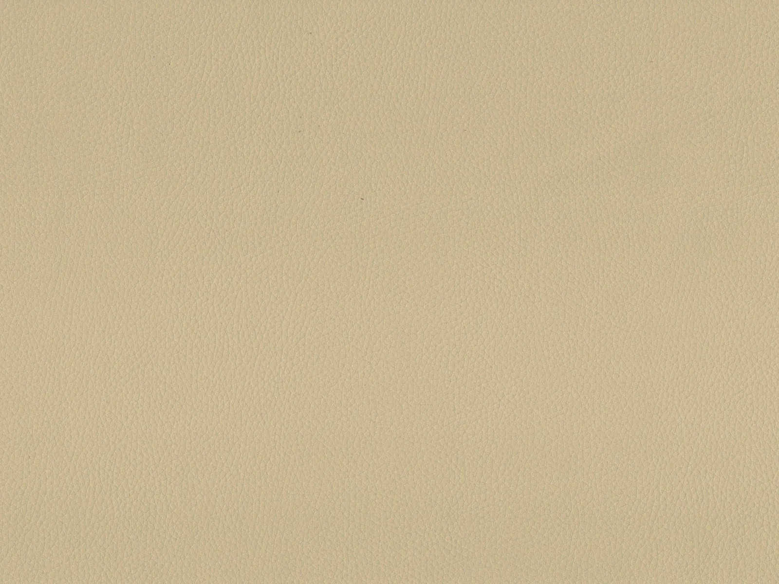 Maximo - MAX3388 Biscuit
